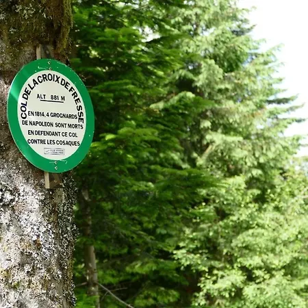 Chalet Sous Le Theatre Bussang